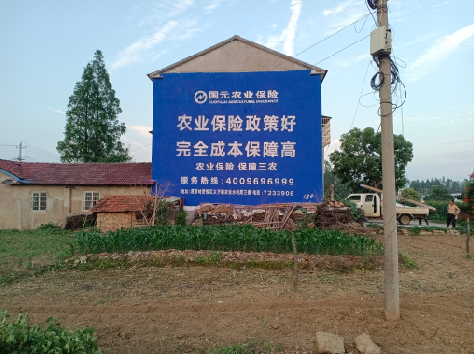 台江墙体广告为何受追捧？